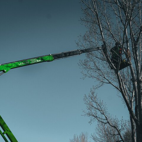 leguan lift 225