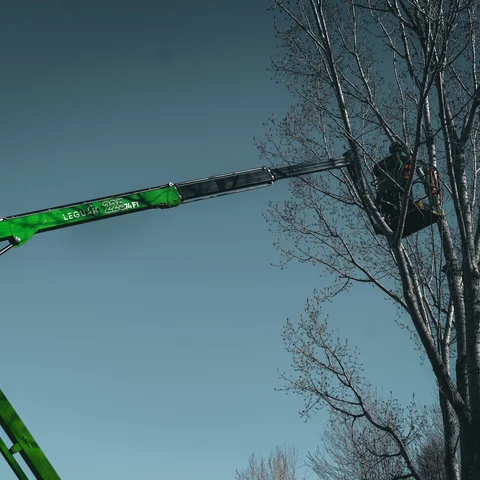 leguan lift 225